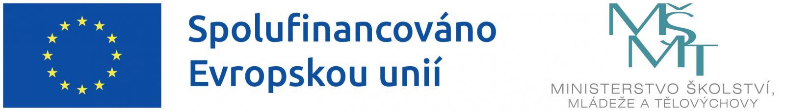 NEXT GENERATION VUT logo